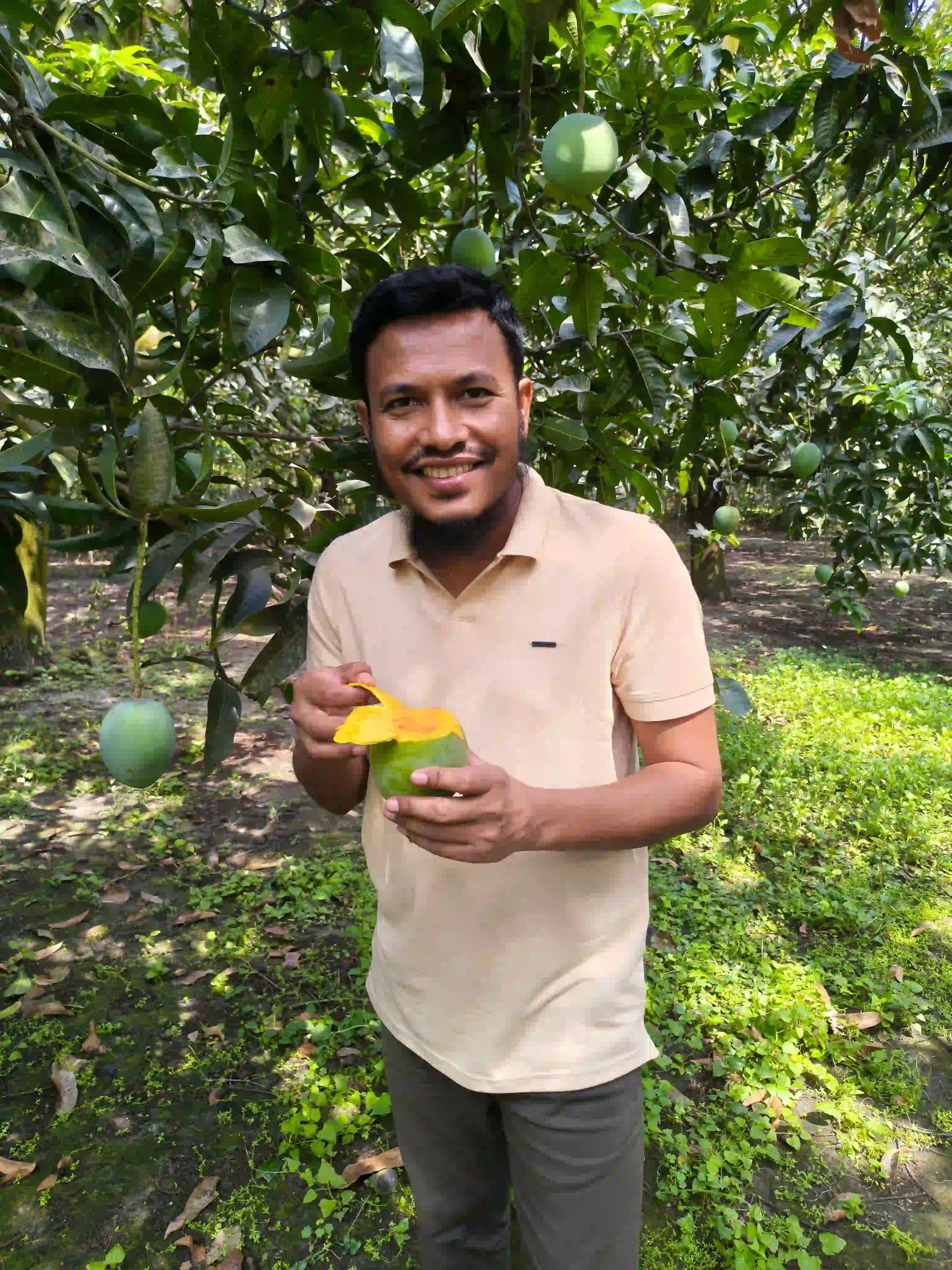 গোবিন্দভোগ আম
